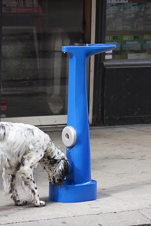 The Drinking Hydrant, 2018 (travail de diplôme, BA)